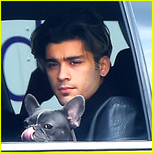 Zayn Malik Enjoys a Ride with a Cute Pup in NYC!