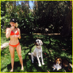 Miley Cyrus Hang With Cute Dogs in Her Red Bikini