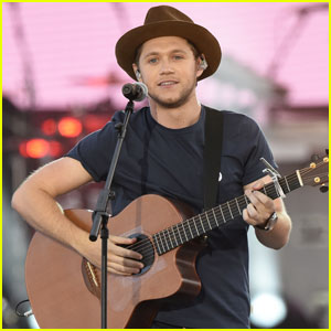 Niall Horan Says Collaborating With the One Direction Guys Would Be 'A Bit Weird'