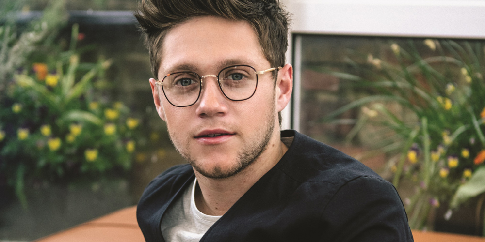 Niall Horan Opens Up More About His Debut Album & We’re Really ...