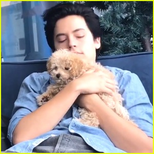Cole Sprouse Cuddles With Candice Patton's Puppy Zoe at Comic-Con 2017