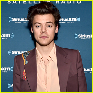 Harry Styles Stopped Making Music While Filming 'Dunkirk'