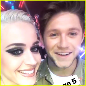 Katy Perry Calls Niall Horan a 'Stage 5 Clinger' on Instagram Stories
