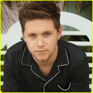 Niall Horan is Welcomed By Massive Crowd in Tokyo - See the Video!