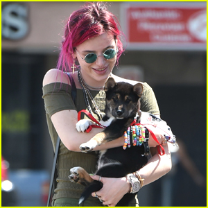 Bella Thorne Brings Blackbear's Dog Pocky Out To Lunch With Her in Los Angeles