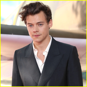 Harry Styles Fans Are Convinced Rumored Ex Tess Ward is Shading Him in This Instagram