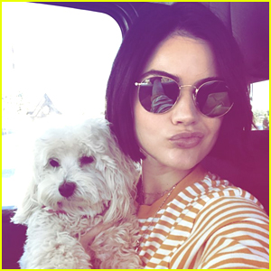 Lucy Hale Uploads Adorable Video of Her Dog Elvis Hiding Behind Her Bed Pillows