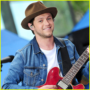 Niall Horan Admits He Gets Homesick For Ireland While On The Road