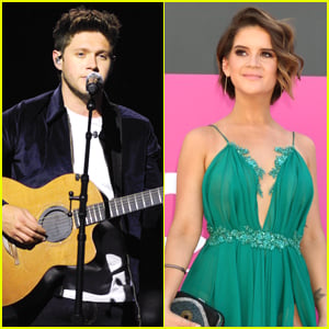 Niall Horan Will Collaborate With Maren Morris on New Song 'Seeing Blind'