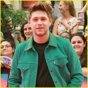 Niall Horan Teases Songs From His Upcoming Album!