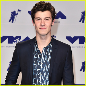 Shawn Mendes Looks So Handsome on MTV VMAs 2017 Red Carpet!