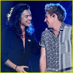 Niall Horan Supported Harry Styles At His L.A. Concert This Week