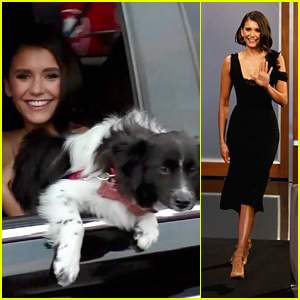Nina Dobrev's Dog Maverick Wanted To Be On 'Jimmy Kimmel Live' With Her