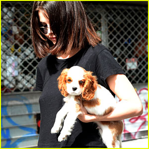 Selena Gomez Hits the Town With Her Adorable New Pup Charles!