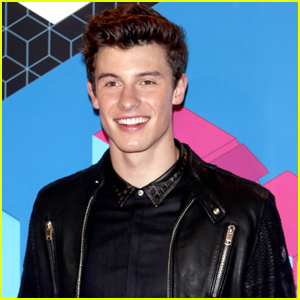 Shawn Mendes Thinks it Would Be Nice to Have an 'Invisibility Switch' Sometimes