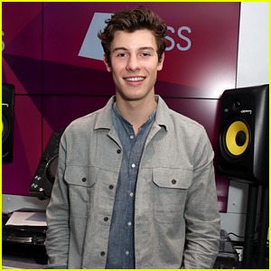 Shawn Mendes Debuts Brand-New Elephant Tattoo!