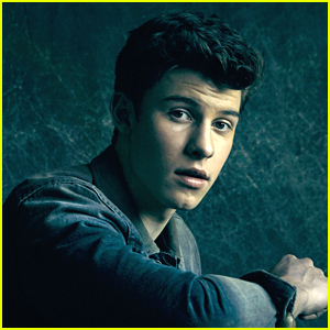 Shawn Mendes Finds It Hard To Be Taken Seriously As a Teen in the Music Industry