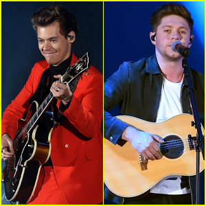Harry Styles & Niall Horan Reunite at We Can Survive Concert in LA!