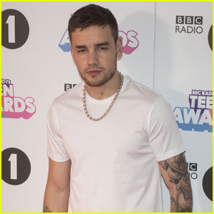 Liam Payne Admits a One Direction Reunion Will Be Hard