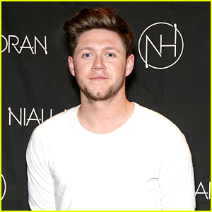 Niall Horan Helps One Direction Tie a Beatles Record