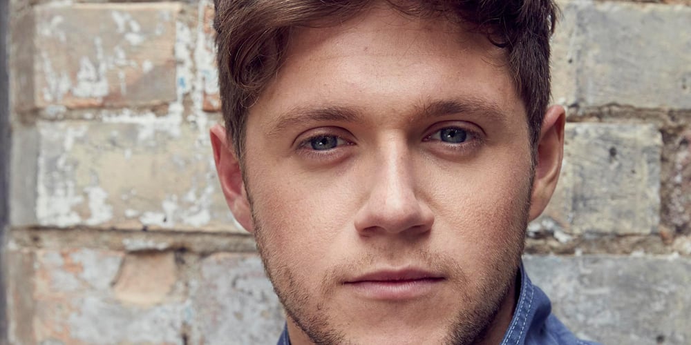 Niall Horan Reveals The Most Important Song on His Debut Album | Music ...