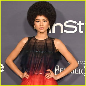 Zendaya's Family Was The Inspiration Behind Her Fro at the InStyle Awards