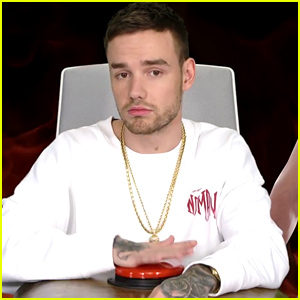 Liam Payne Answers Ellen's Burning Questions & Reveals Which Song Best Describes His Love Life!