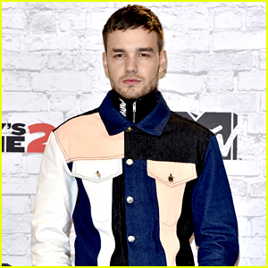Liam Payne Opens Up About Mental Health Struggles During One Direction Days