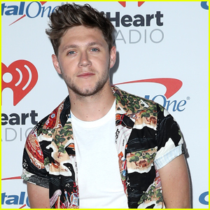 Niall Horan Just Officially Signed a Modeling Contract!