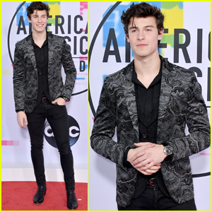 Shawn Mendes Looks So Handsome at American Music Awards 2017!
