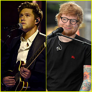 Niall Horan Shares Hilarious Tour Bus Story Involving Ed Sheeran!