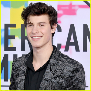Shawn Mendes Thanks His Fans For An Amazing Year!