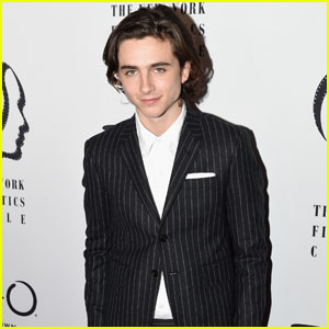 Timothee Chalamet Poses in Pinstripes at New York Film Critics Awards 2017