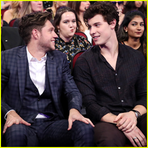 Shawn Mendes Assures Fans That He Will Collaborate with Niall Horan Soon