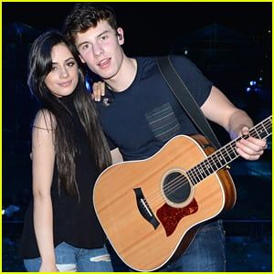 Shawn Mendes' Favorite Song on Camila Cabello's Album Isn't What She Thought It Would Be