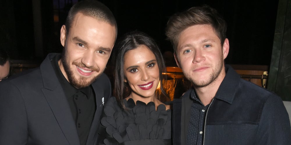 Liam Payne Reunites With Niall Horan at BRITs After Party