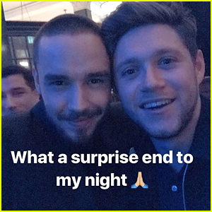 Liam Payne Reunites With Niall Horan at BRITs After Party