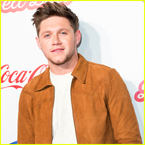 Niall Horan Says Going Solo Was An 'Instant Reality Check'