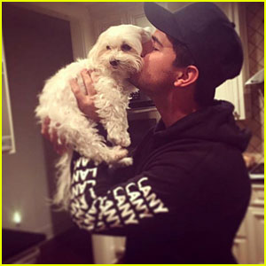 Taylor Lautner Pens Heartfelt Tribute After Death of Dog Roxy