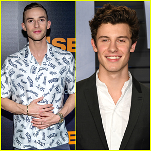 Adam Rippon Definitely Felt a 'Connection' With Shawn Mendes After Meeting Him