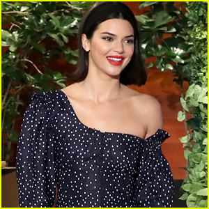 Kendall Jenner Is In No Hurry To Have Kids of Her Own
