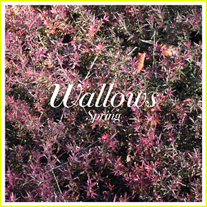 Dylan Minnette's Band Wallows Just Dropped Their Debut EP 'Spring' - Stream & Download!