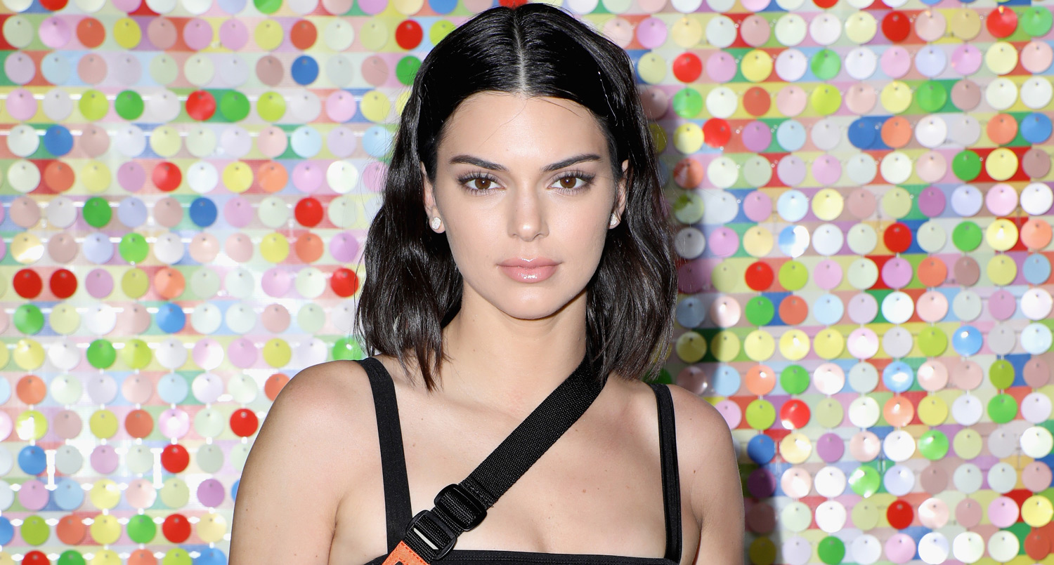 Kendall Jenner Flaunts Her Abs at Coachella Party!