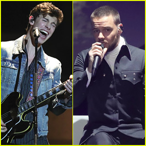 Shawn Mendes & Liam Payne Hit the Stage at Echo Awards 2018!