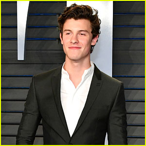 Shawn Mendes Shares Livestream Video That Might End With Third Album Artwork - Watch!