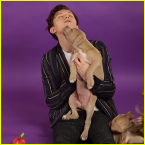 Tom Holland Is Completely Distracted by Puppies In This Interview