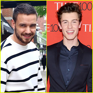 Liam Payne Checked In With Shawn Mendes About Pressures of Superstardom