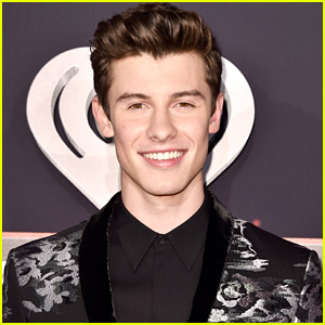 Shawn Mendes Hints That More Acting Is In His Future