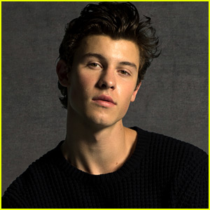 Shawn Mendes Reveals His Favorite Songs From His New Album