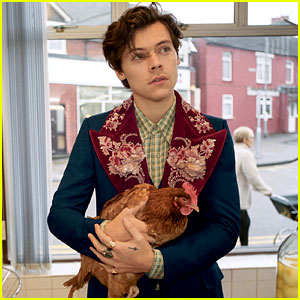 Harry Styles' Gucci Campaign Photos Are Here!